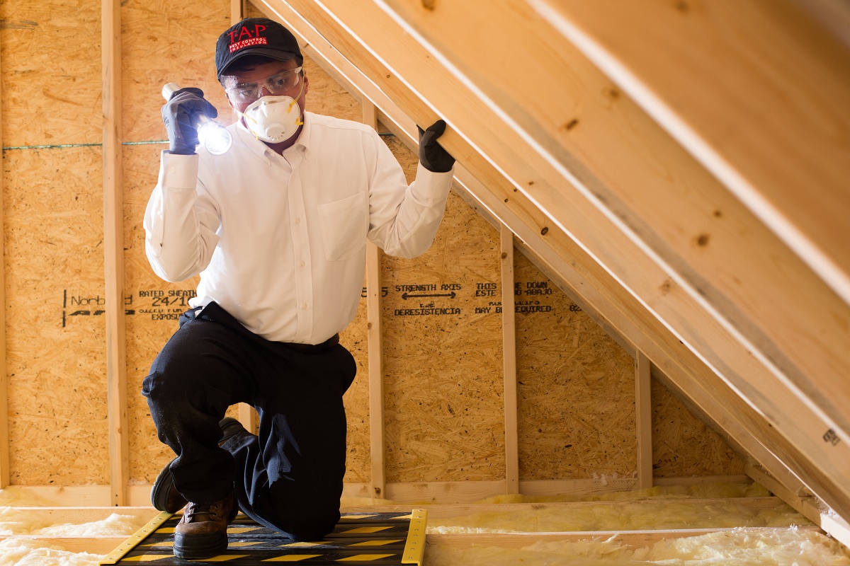 5 Tips For Selling Tap® Pest Control Insulation Tap® Pest Control Insulation Tap® Pest 2472