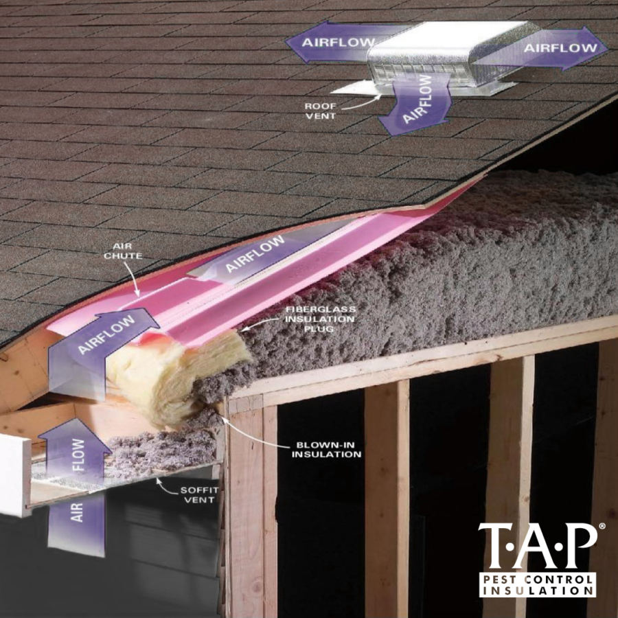 Let Your Attic Breathe - TAP® Pest Control Insulation - TAP® Pest ...