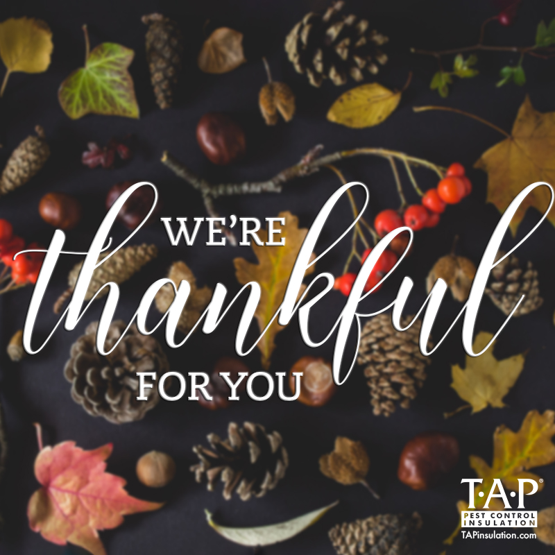 Thank You Tap® Pest Control Insulation Tap® Pest Control Insulation 6802