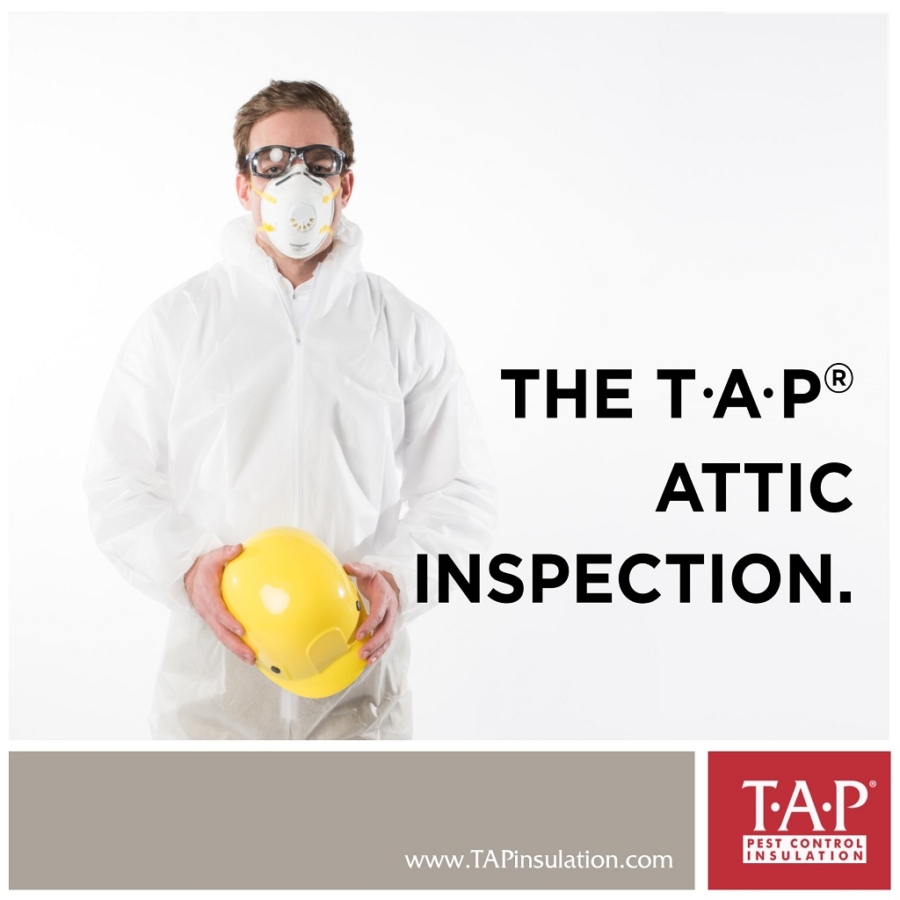 Annual Attic Inspection Tap® Pest Control Insulation Tap® Pest Control Insulation 5286