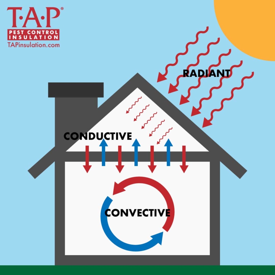 It's Getting Hot In Here: Three Types Of Heat Transfer - TAP® Pest ...