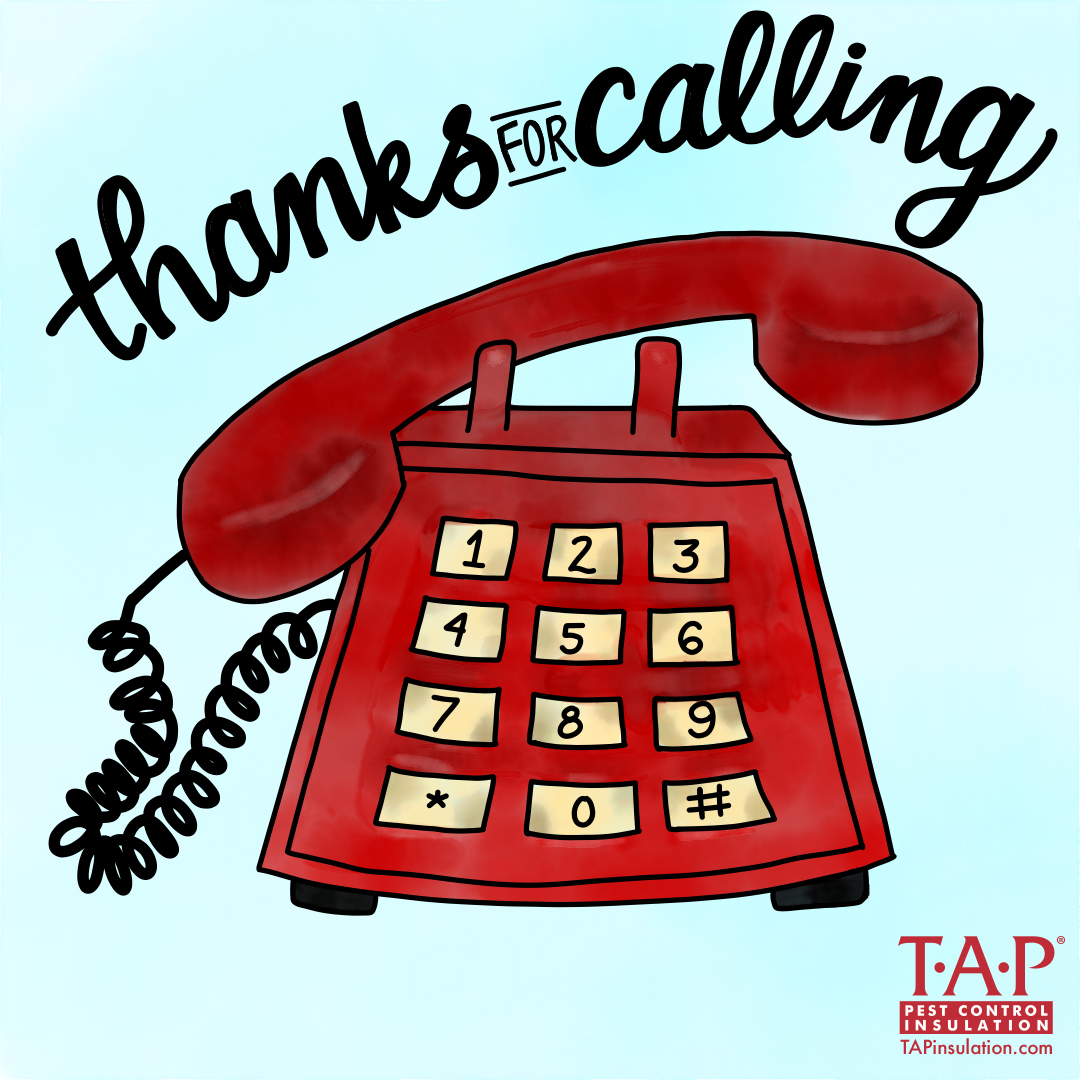 Thank You For Calling — Tap® Pest Control Insulation Tap® Pest Control Insulation 7566