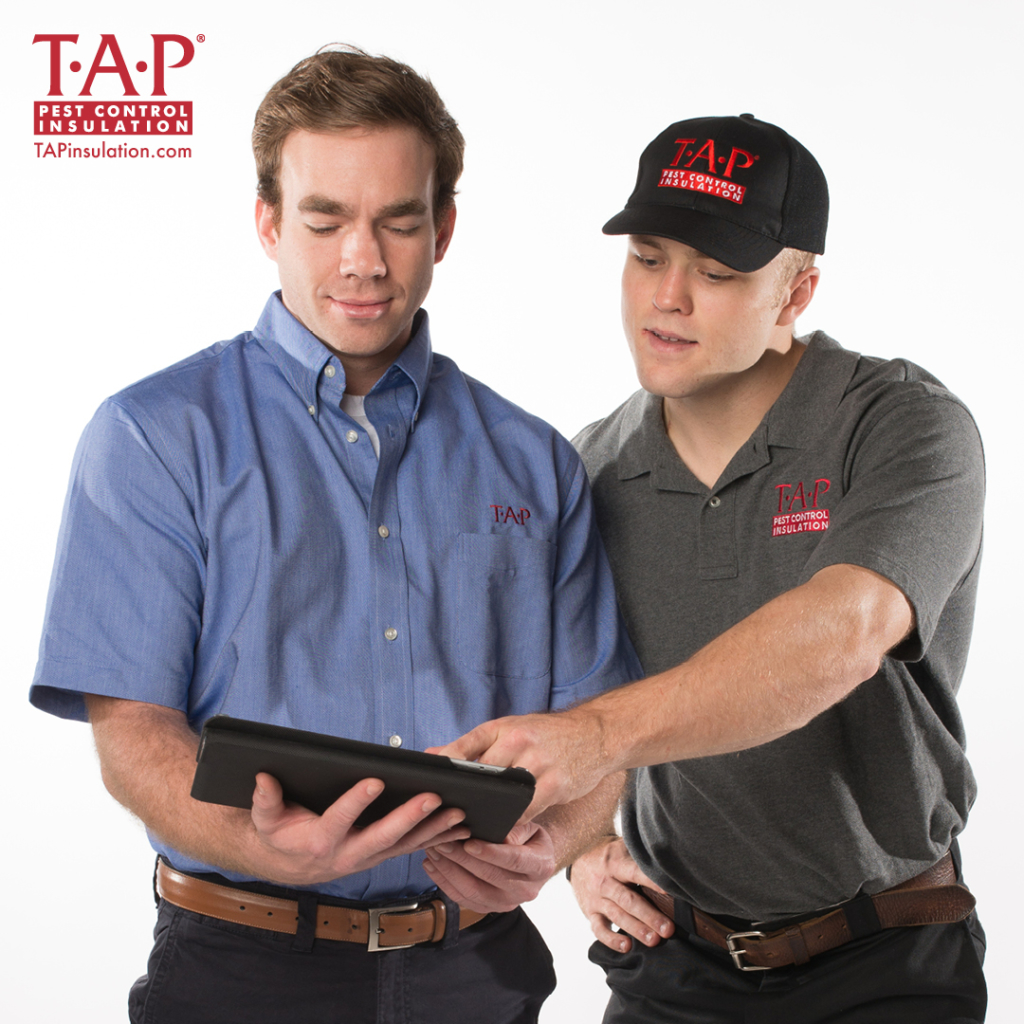 Starting Your TAP Business with Training