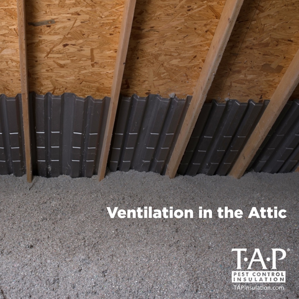 Ventilation in the Attic