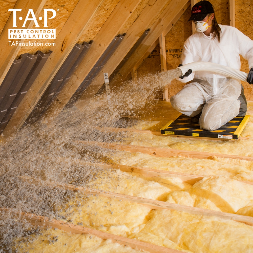 Basic Installation Tips for TAP® Pest Control Insulation