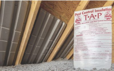 tap-insulation-in-attic